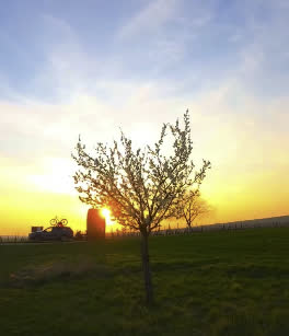 Reel — droní vycházka kolem Šardic, golden hour